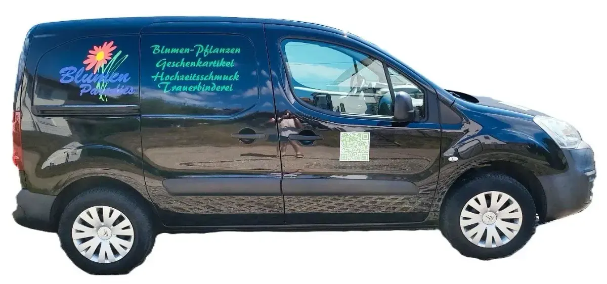 Gebraucht Citroën e-Berlingo 49 kW (67 PS) 2018 Schwarz Van / Kleinbus