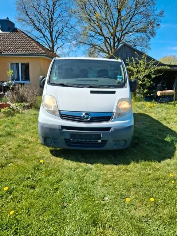 Używany Opel Vivaro 114 KM (83 kW) 2007 Biały Minivan