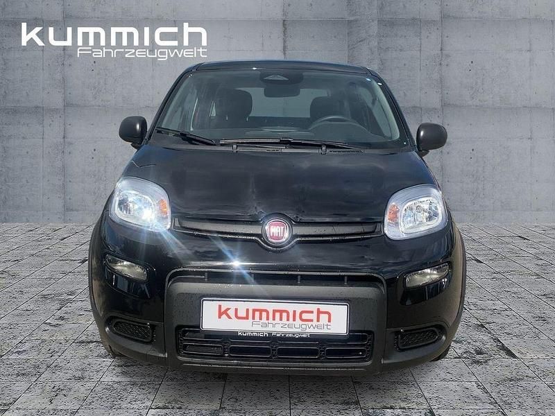 Gebraucht Fiat Panda 69 PS (50 kW) 2024 Schwarz Kleinwagen