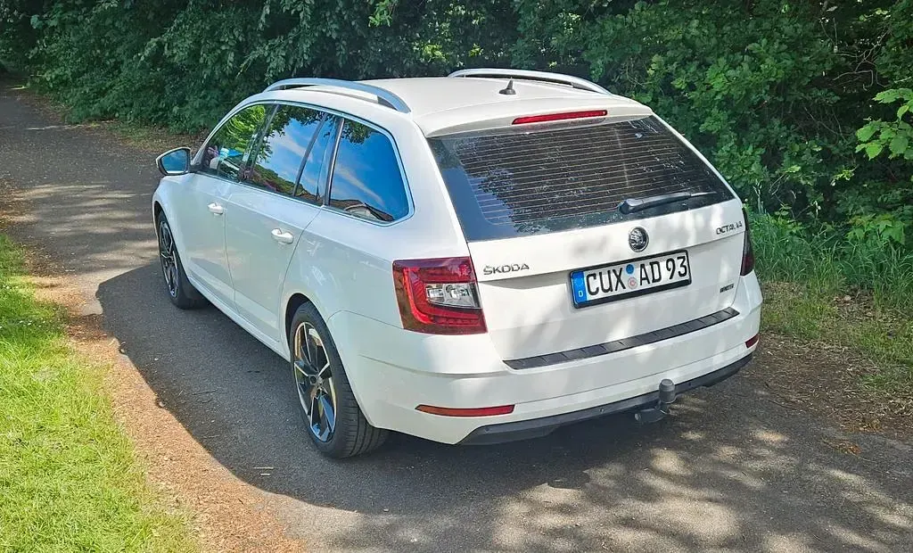 Gebraucht Skoda Octavia G-TEC 110 PS (80 kW) 2018 Weiß Kombi