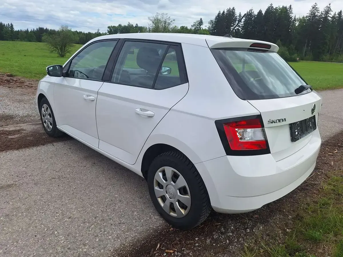 Gebraucht Skoda Fabia Active 90 PS (66 kW) 2017 Candyweiss Kleinwagen
