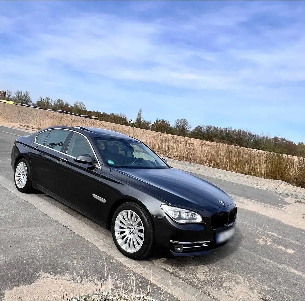 Usata BMW 730 258 CV (189 kW) 2013 Grigio Berlina