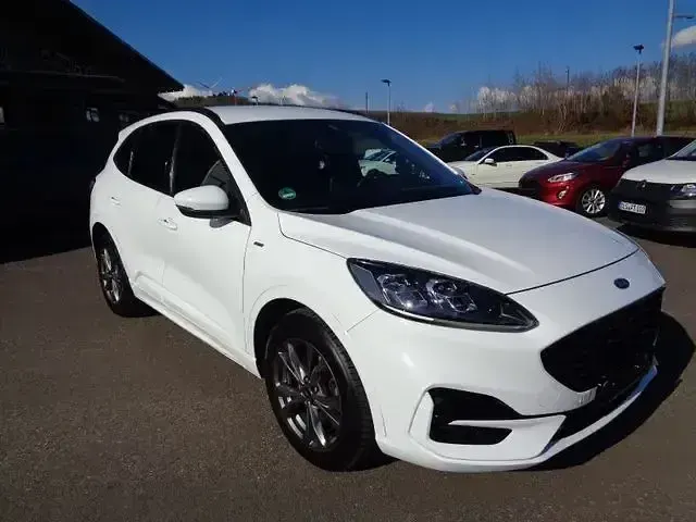 Gebraucht Ford Kuga ST-Line X 190 PS (139 kW) 2020 Weiß SUV