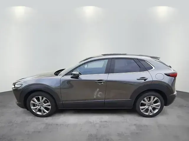 Gebraucht Mazda CX-30 Selection 122 PS (89 kW) 2022 Grau SUV