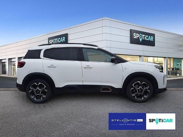 Gebraucht Citroën C5 Aircross 131 PS (96 kW) 2023 Weiß SUV