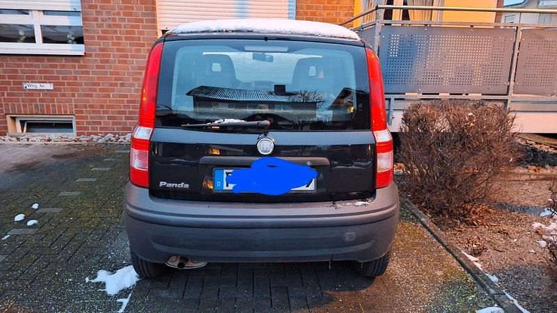 Gebraucht Fiat Panda 52 PS (38 kW) 2009 Schwarz Kleinwagen