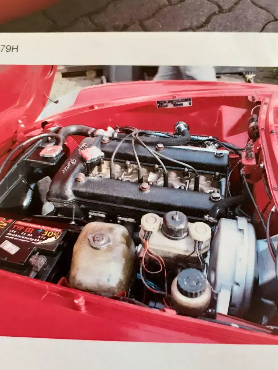 Gebraucht Alfa Romeo Spider 128 PS (94 kW) 1979 Rot Cabrio