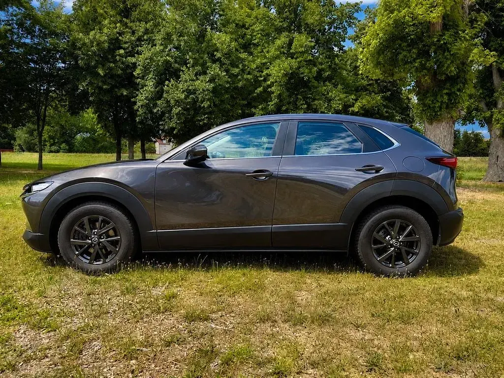 Gebraucht Mazda CX-30 Selection 150 PS (110 kW) 2020 Grau SUV