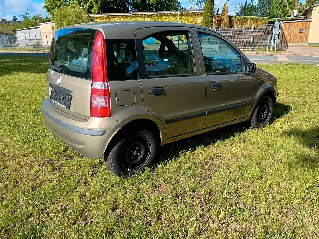 Gebraucht Fiat Panda 54 PS (39 kW) 2009 Gold Kleinwagen