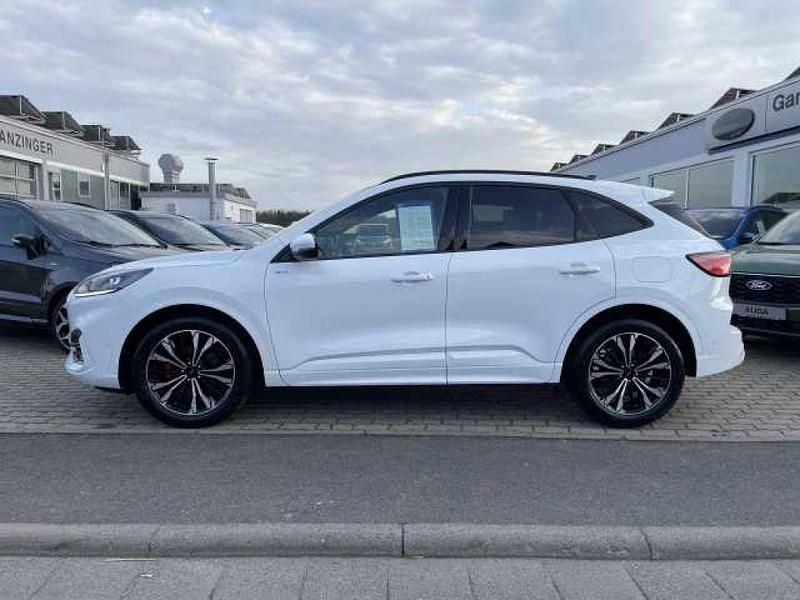 Gebraucht Ford Kuga ST-Line 150 PS (110 kW) 2023 Frostweiß SUV
