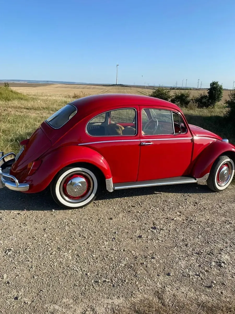 Gebraucht VW Käfer 34 PS (25 kW) 1961 Rot Kleinwagen