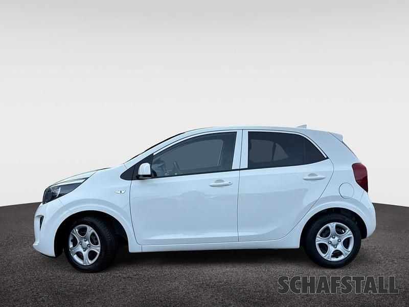 Gebraucht Kia Picanto Vision 67 PS (49 kW) 2024 Weiss ((ud) schneeweiss) Kleinwagen