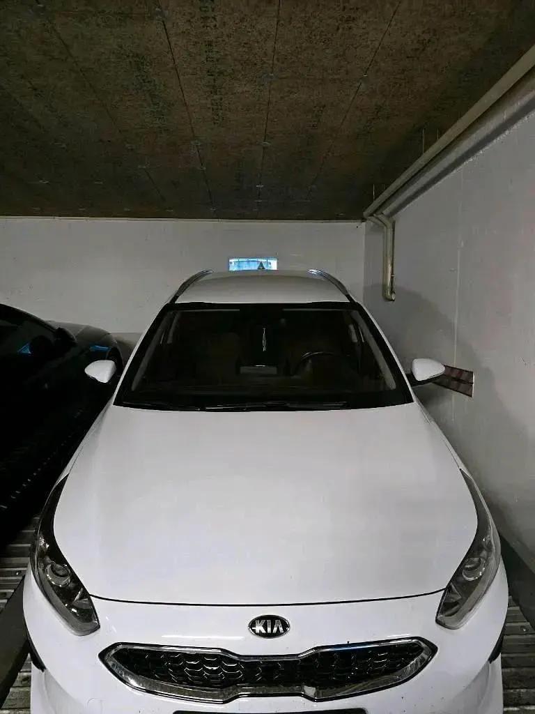 Gebraucht Kia Ceed 140 PS (102 kW) 2019 Weiß Kleinwagen