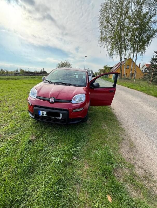 Rot Gebraucht 2024 Fiat Panda Kleinwagen | 8.500 € (Superpreis) - Bild 1/4