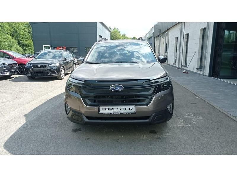 Neu Subaru Forester Exclusive+ 136 PS (100 kW) 2025 Braun SUV