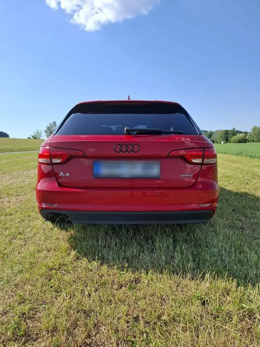 Gebraucht Audi A4 Sport 272 PS (200 kW) 2017 Rot Kombi