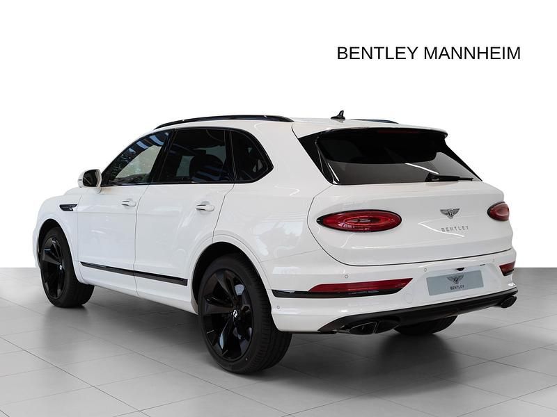 Gebraucht Bentley Bentayga 549 PS (403 kW) 2024 Weiß (glacier white) SUV