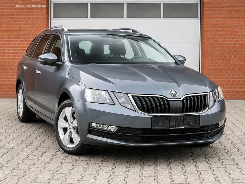Gebraucht Skoda Octavia G-TEC 131 PS (96 kW) 2021 Grau Kombi