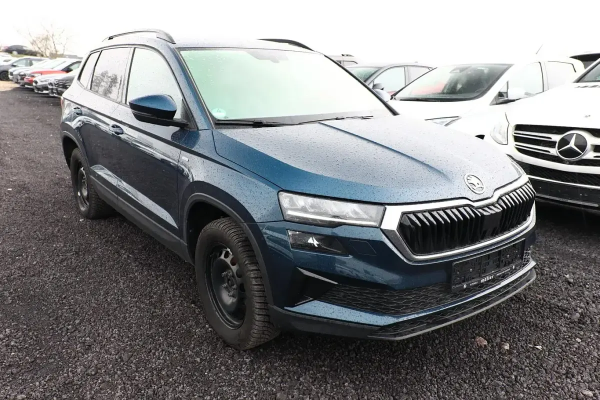 Gebraucht Skoda Karoq Tour 116 PS (85 kW) 2023 Blau SUV