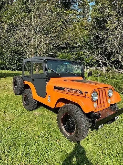 Gebraucht Jeep Wrangler 103 PS (75 kW) 1974 Orange SUV