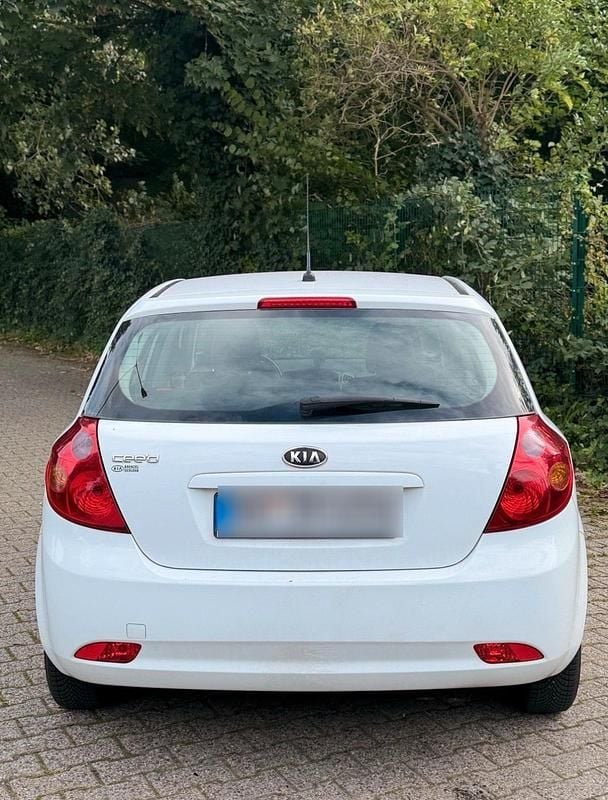 Gebraucht Kia Ceed 109 PS (80 kW) 2009 Weiß Kleinwagen