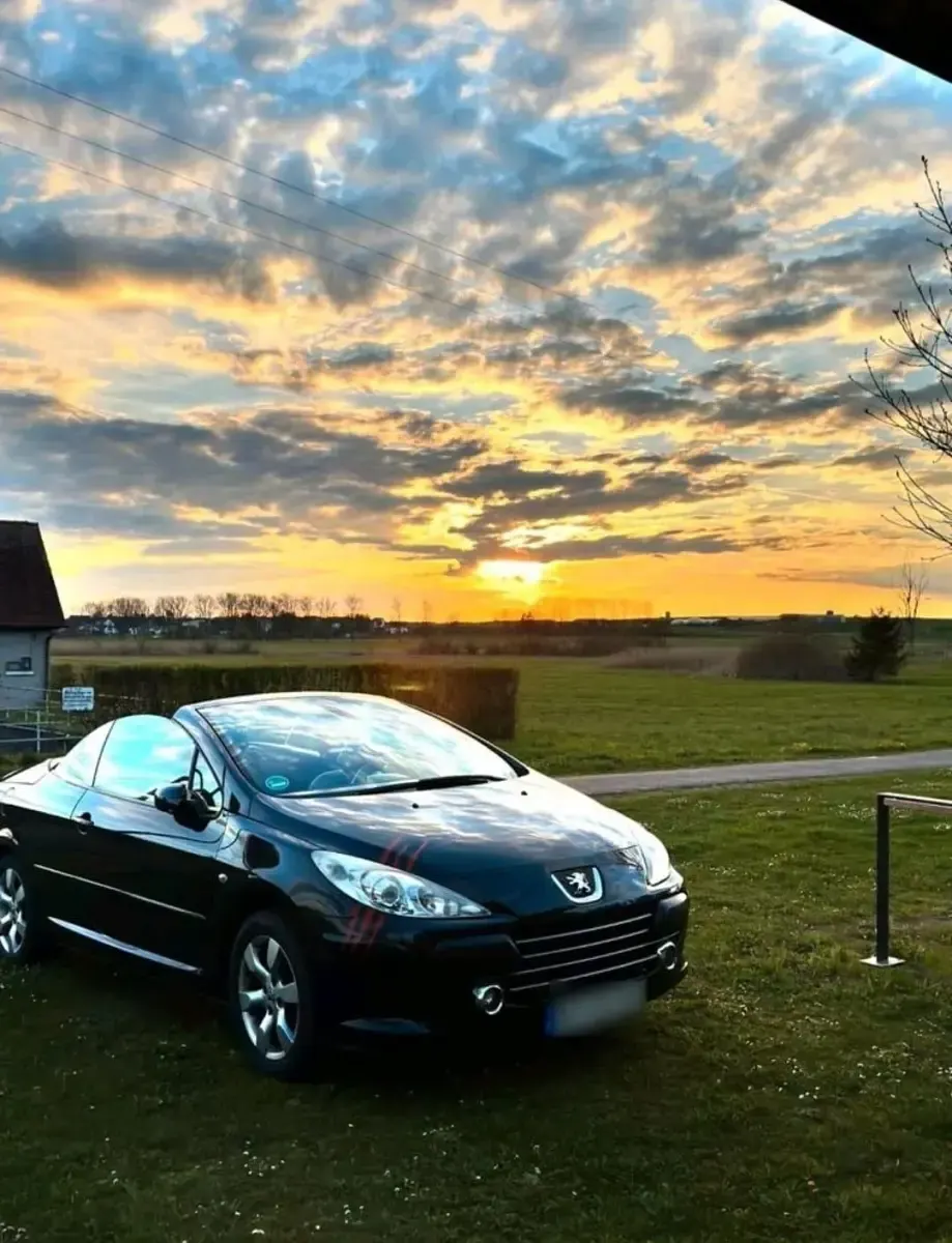 Gebraucht Peugeot 307 CC 140 PS (102 kW) 2006 Schwarz Cabrio