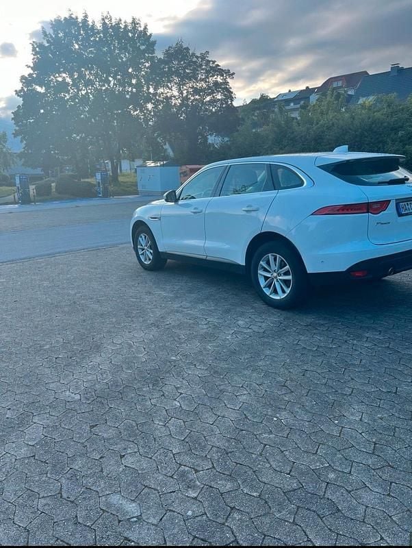 Gebraucht Jaguar F-Pace 300 PS (220 kW) 2016 Weiß SUV