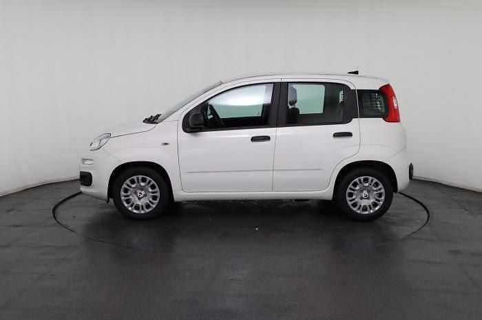 Neu Fiat Panda 69 PS (50 kW) 2025 Weiß, weiß uni Kleinwagen
