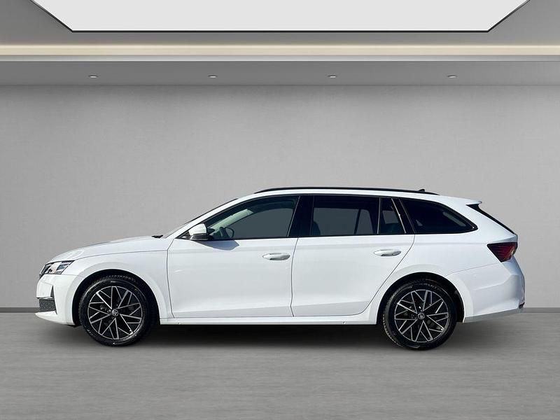 Gebraucht Skoda Octavia Selection 150 PS (110 kW) 2025 Weiss Kombi