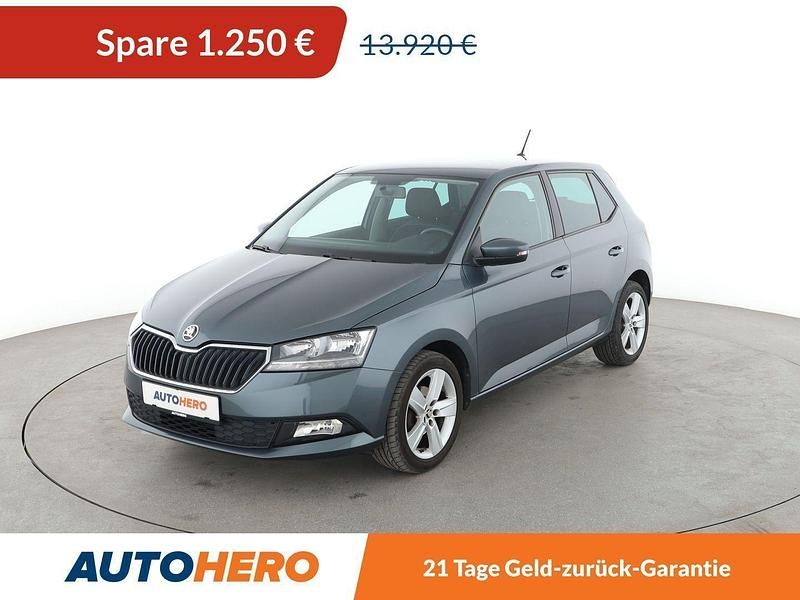 Grau Gebraucht 2019 Skoda Fabia Ambition Kleinwagen | 12.670 € (Fairer Preis) - Bild 1/3