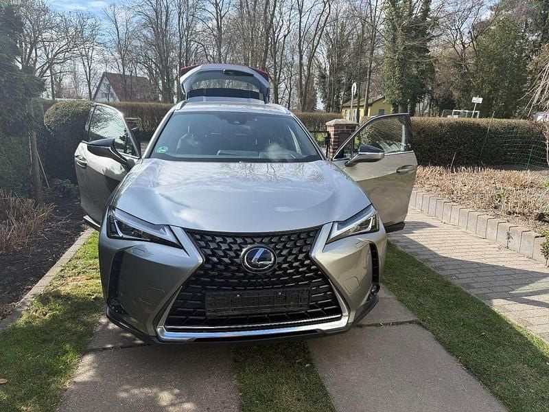 Gebraucht Lexus UX Launch Edition 184 PS (135 kW) 2019 Grau SUV