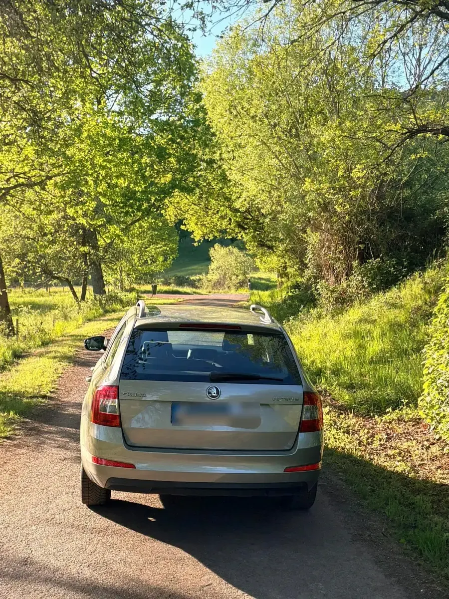 Gebraucht Skoda Octavia 105 PS (77 kW) 2014 Grau Kombi