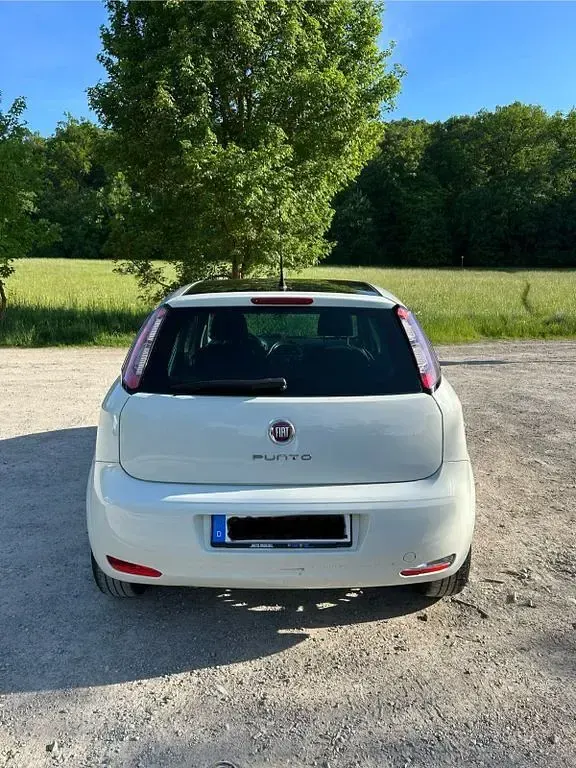Gebraucht Fiat Punto Young 69 PS (50 kW) 2015 Weiß Kleinwagen