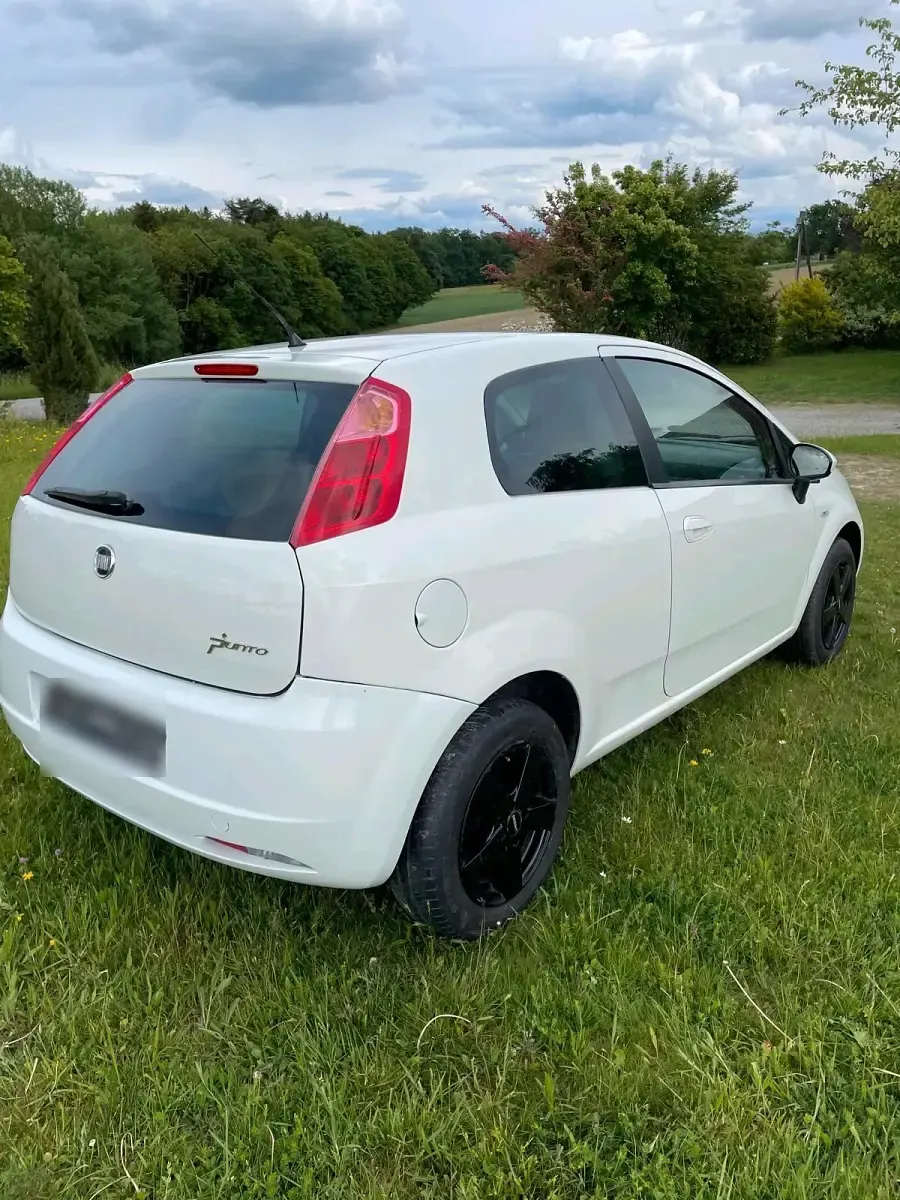Gebraucht Fiat Punto 77 PS (56 kW) 2009 Weiß Kleinwagen