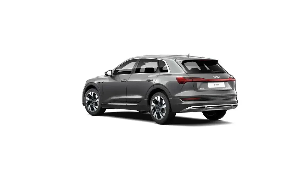 Gebraucht Audi e-tron S-Line 300 kW (408 PS) 2023 Daytonagrau perleffekt SUV