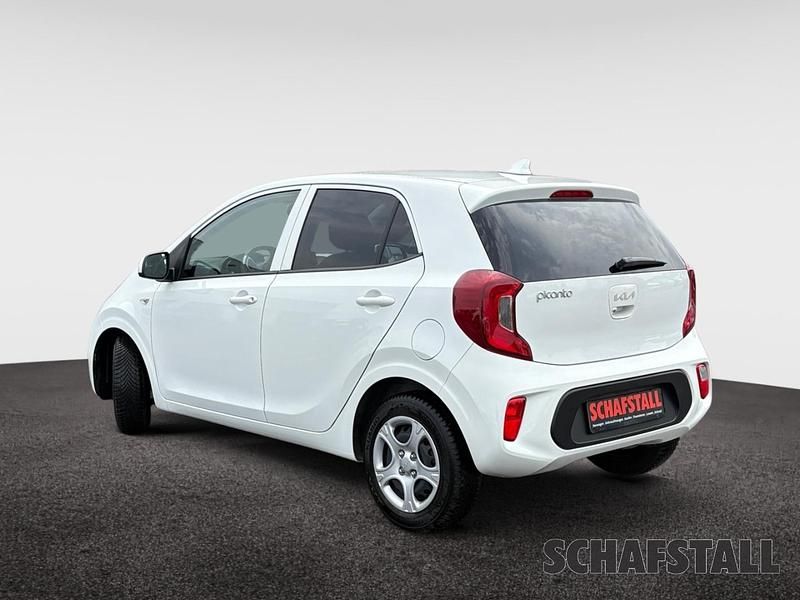 Gebraucht Kia Picanto Vision 67 PS (49 kW) 2024 Weiss ((ud) schneeweiss) Kleinwagen
