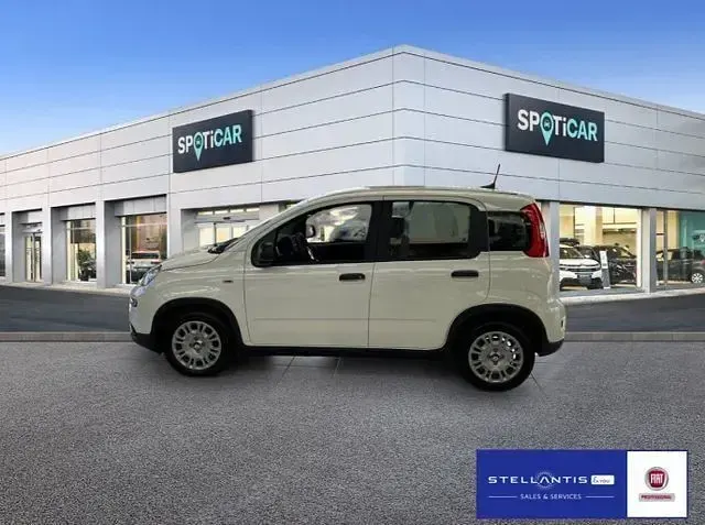 Neu Fiat Panda 69 PS (50 kW) 2025 Weiß Kleinwagen