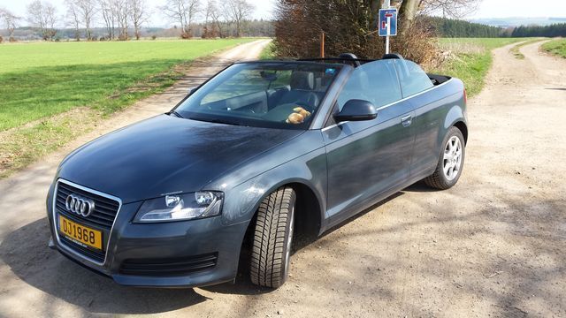 Gebraucht Audi A3 Cabriolet 136 PS (100 kW) 2008 Blau Cabrio