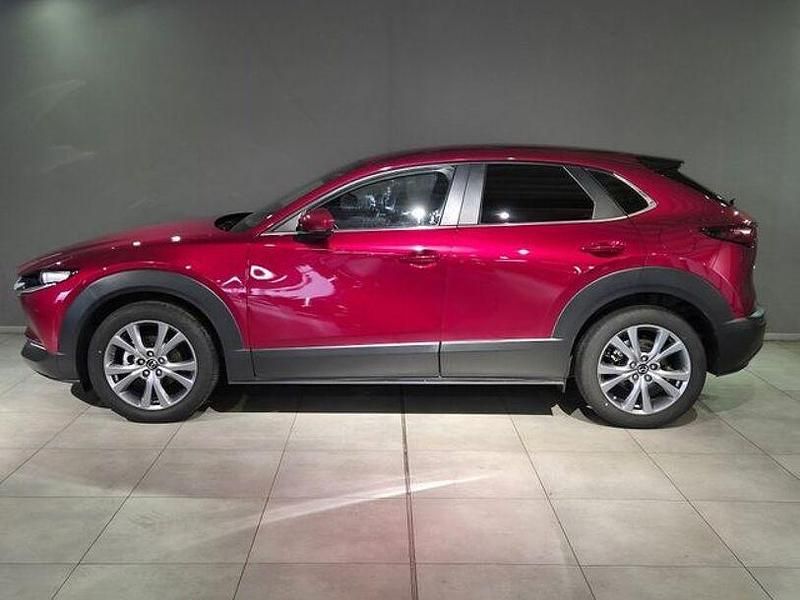 Gebraucht Mazda CX-30 Selection 179 PS (131 kW) 2019 Soul red crystal SUV