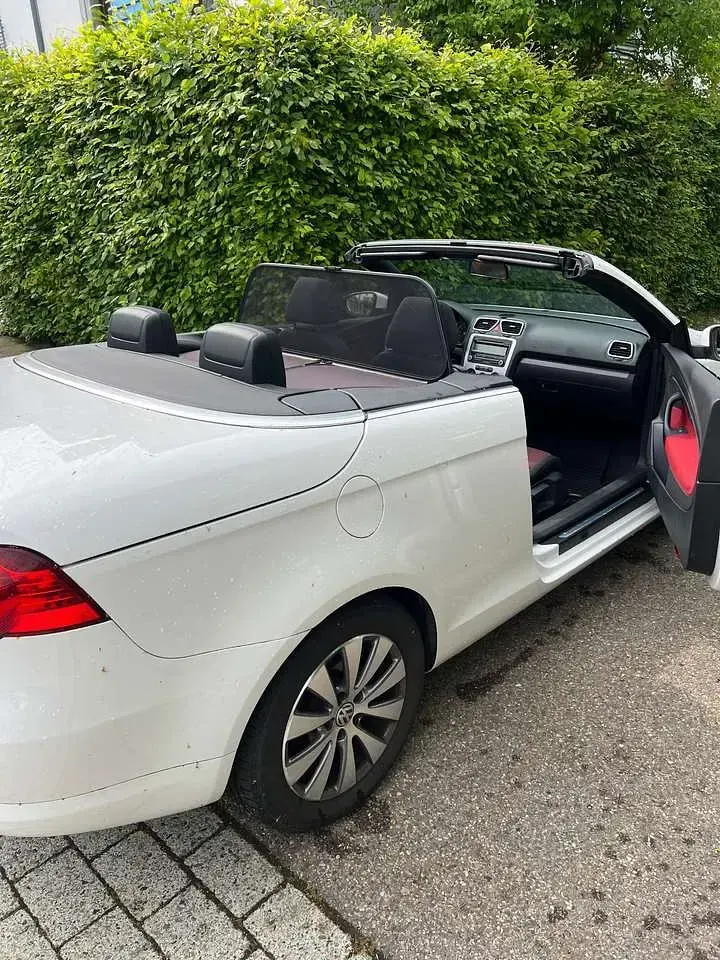 Occasion VW Eos 122 ch (89 kW) 2009 Blanc Cabriolet
