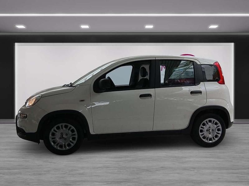 Gebraucht Fiat Panda 69 PS (50 kW) 2024 Weiß Kleinwagen