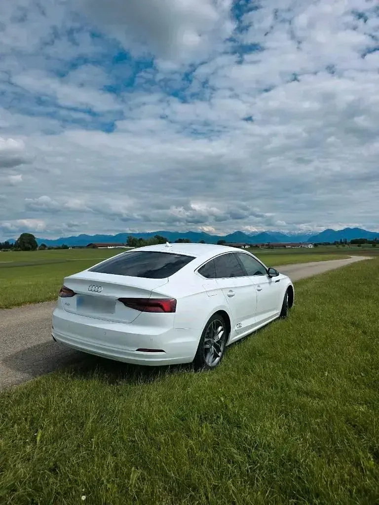 Gebraucht Audi A5 Sportback 110 PS (80 kW) 2017 Weiß Kleinwagen
