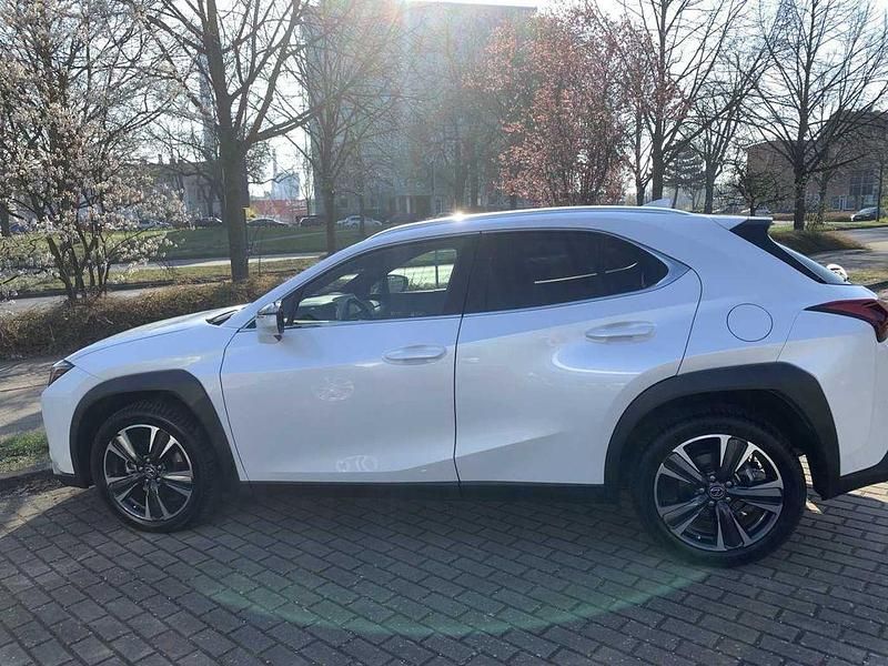 Gebraucht Lexus UX 250h 184 PS (135 kW) 2023 Weiß SUV