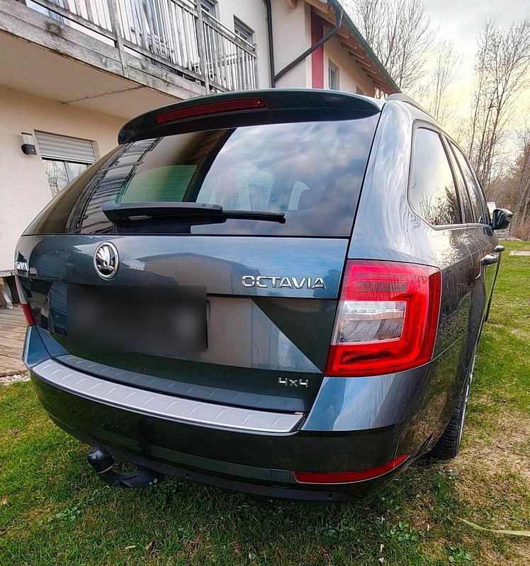 Gebraucht Skoda Octavia Style 150 PS (110 kW) 2019 Grau Kombi