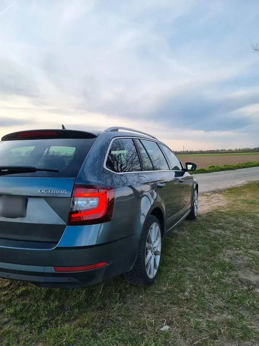 Gebraucht Skoda Octavia 150 PS (110 kW) 2017 Grau Kombi