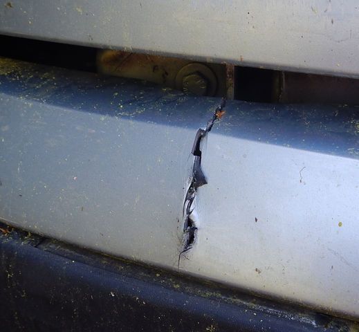 Gebraucht Renault Kangoo 82 PS (60 kW) 2003 Silber Van / Kleinbus