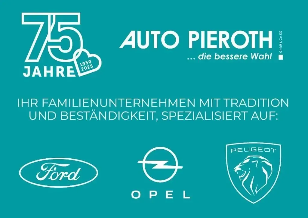 Gebraucht Ford Tourneo Custom Titanium 170 PS (125 kW) 2025 Van