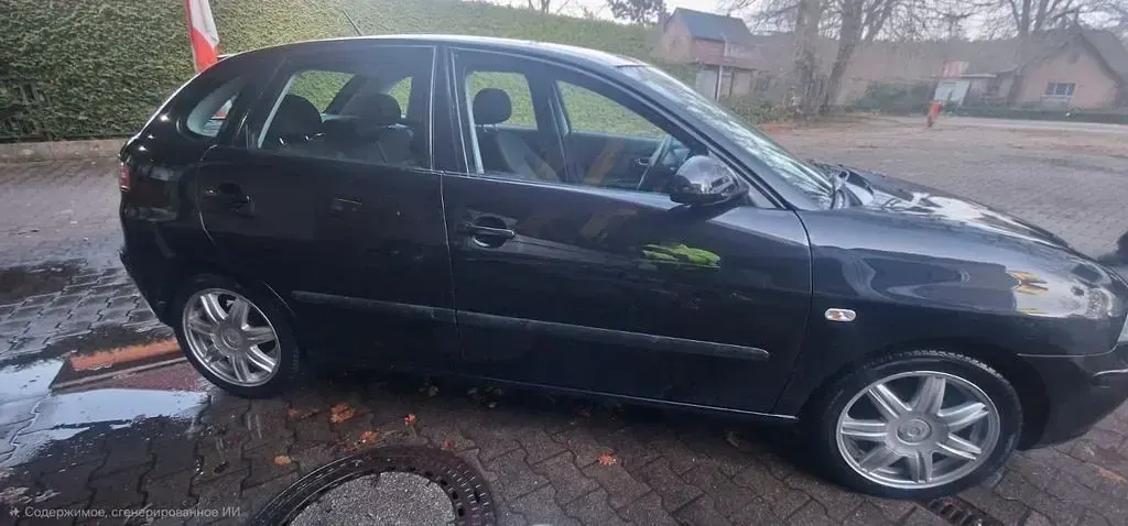 Gebraucht Seat Ibiza Sport 75 PS (55 kW) 2005 Schwarz Kleinwagen