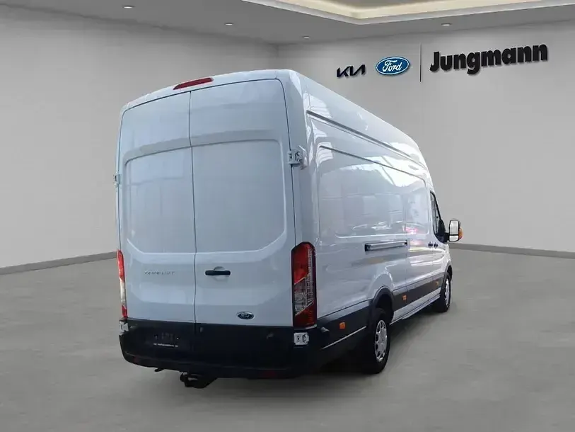Gebraucht Ford Transit Trend 170 PS (125 kW) 2019 Frozen white Pickup