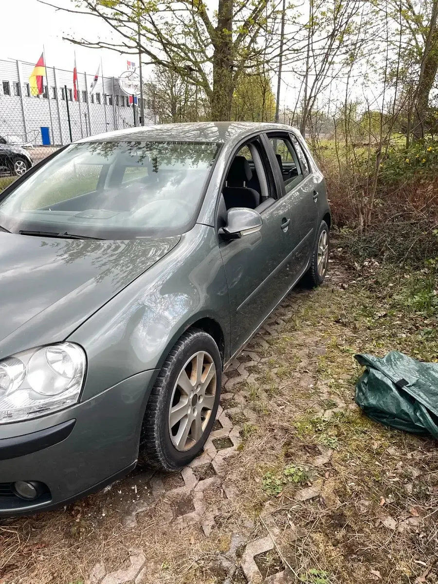 Gebraucht VW Golf IV 2005 Grün Kleinwagen